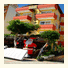 Kleopatra Beach Yildiz Hotel: fotografie
