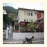 Pinara Pension: fotografie