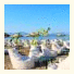 Sunset Beach Villa B: fotografie
