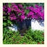 Arion Resort Hotel: fotografie