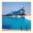 The Penguen Hotel