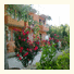 Rose Pension