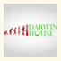 Darwin House Hostel: fotografie