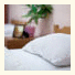 Salve Hostel: fotografie