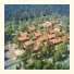SPA Vernygora