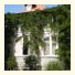 Park-Royal Belyi Lebed