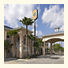 Super 8 Alamo/McAllen