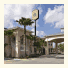 Super 8 Alamo