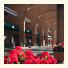 Holiday Inn Hotel & Suites Alexandria Historic District: fotografie