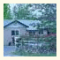 Jumping Frog Motel