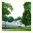 Ashford Motel