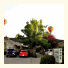 Lookout Inn GuestHouse and Suites