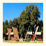 Live Oak Springs Resort
