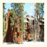 Inner Circle Condominiums by Wood Winds