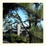 Cambria Pines Lodge