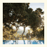 Carmel Valley Ranch