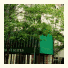 The Tremont Chicago Hotel at Magnificent Mile: fotografie