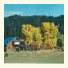 Streamside Vacation Cabin Rental in Beautiful Garden Valley, Idaho