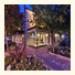 BEST WESTERN PLUS Palm Court Hotel