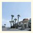 Sunny Shore Resort: fotografie