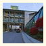 Cedars Inn