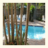 15 FTL Guest House