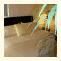 Martindale at the Beach: fotografie