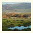 The Inn at Silvercreek