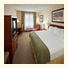 Holiday Inn Express Hotel & Suites Greenville: fotografie