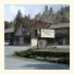 Whispering Pines