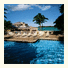 The Pier House Resort and Caribbean Spa: fotografie