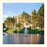 Marriott's Royal Palms: fotografie