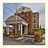 Holiday Inn Express Hotel & Suites McDonough: fotografie