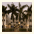 Blue Moon Hotel: fotografie