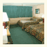 Red Roof Inn-Cypress Tree Inn: fotografie
