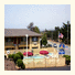 Best Western Park Crest Inn - Monterey: fotografie