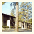 Motel In The Pines