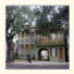 The Prytania Oaks