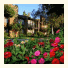 San Diego Country Estates