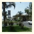 Willow Tree Inn: fotografie