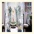 White Swan Inn: fotografie