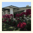 Rose Garden Inn - Santa Maria