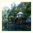 Orca Island Cabins: fotografie