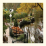 Catlin Gardens Inn