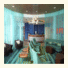 SpringHill Suites Tampa North/Tampa Palms