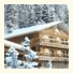 Snow Bear Condos
