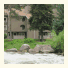 Aspen at Streamside
