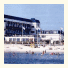 Sea Gull Inn: fotografie