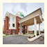 Holiday Inn Express White House