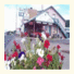 Route 66 Inn